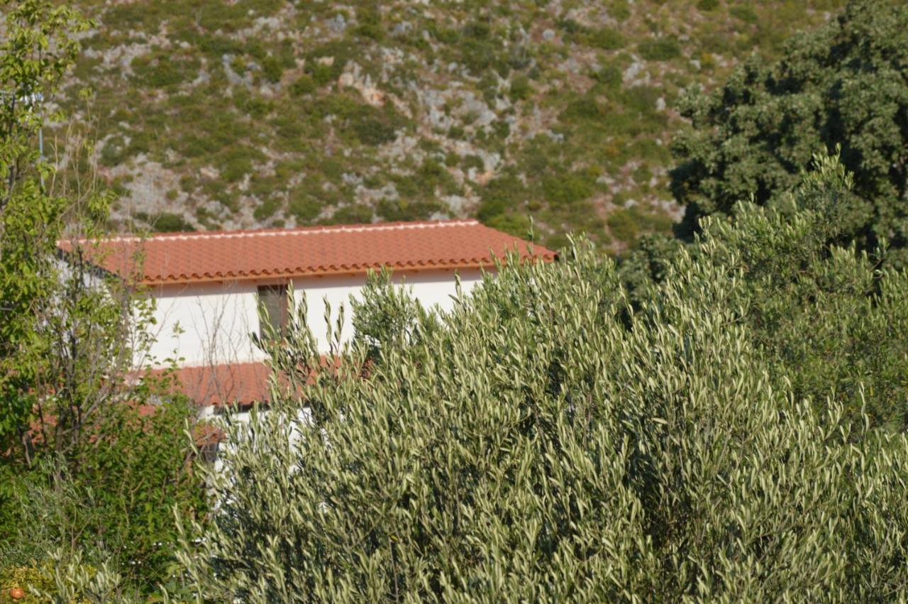Tolis Rooms Himare Buitenkant foto